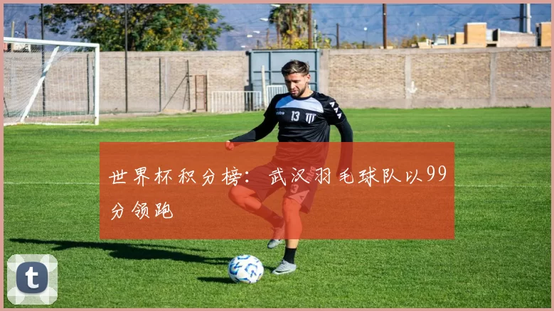 世界杯积分榜：武汉羽毛球队以99分领跑