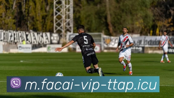 乐鱼体育注册平台生态图